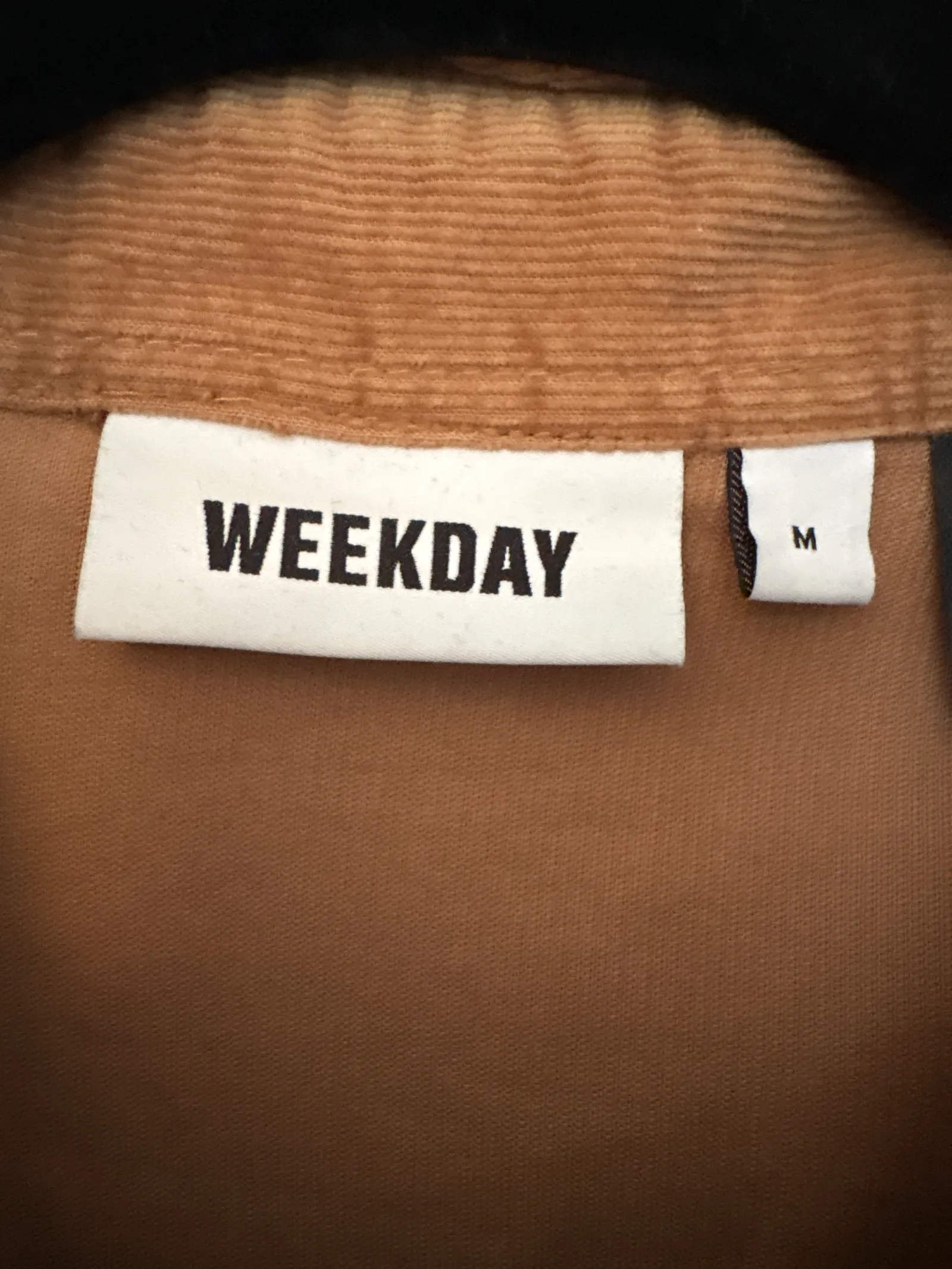Miniatyrbild 2